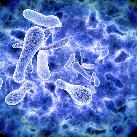 Managing the Risk of Legionella in Emergency Safety Showers and Eye Washes 